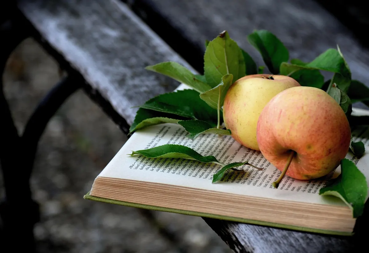 Autumn Reading List: How to Review Seasonal Fiction